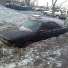 Подснежник